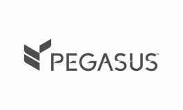 PEGASUS PARTNERS WITH ICE PORTAL TO OPTIMIZE INVENTORY DISTRIBUTION FOR HOTEL CUSTOMERS